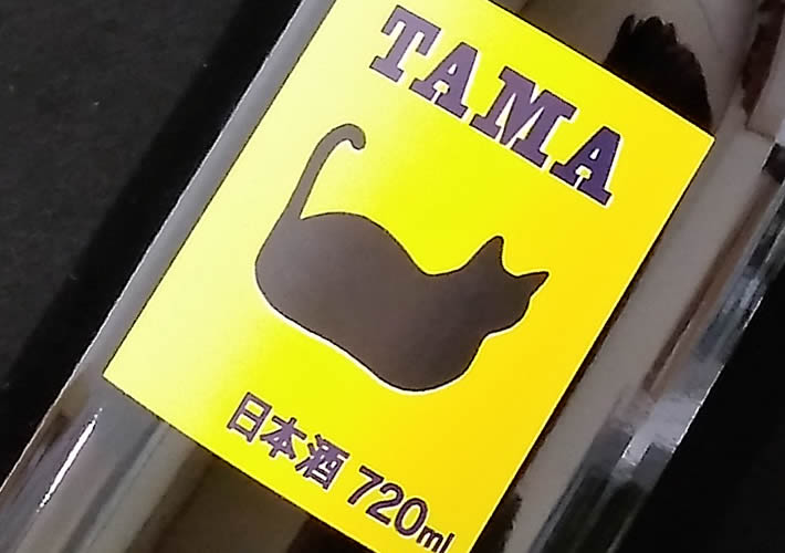 ʔT ċ TAMA