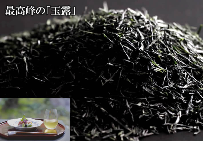 京都宇治玉露 京都宇治玉露 玉兎(たまうさぎ) 3本専用カートン入